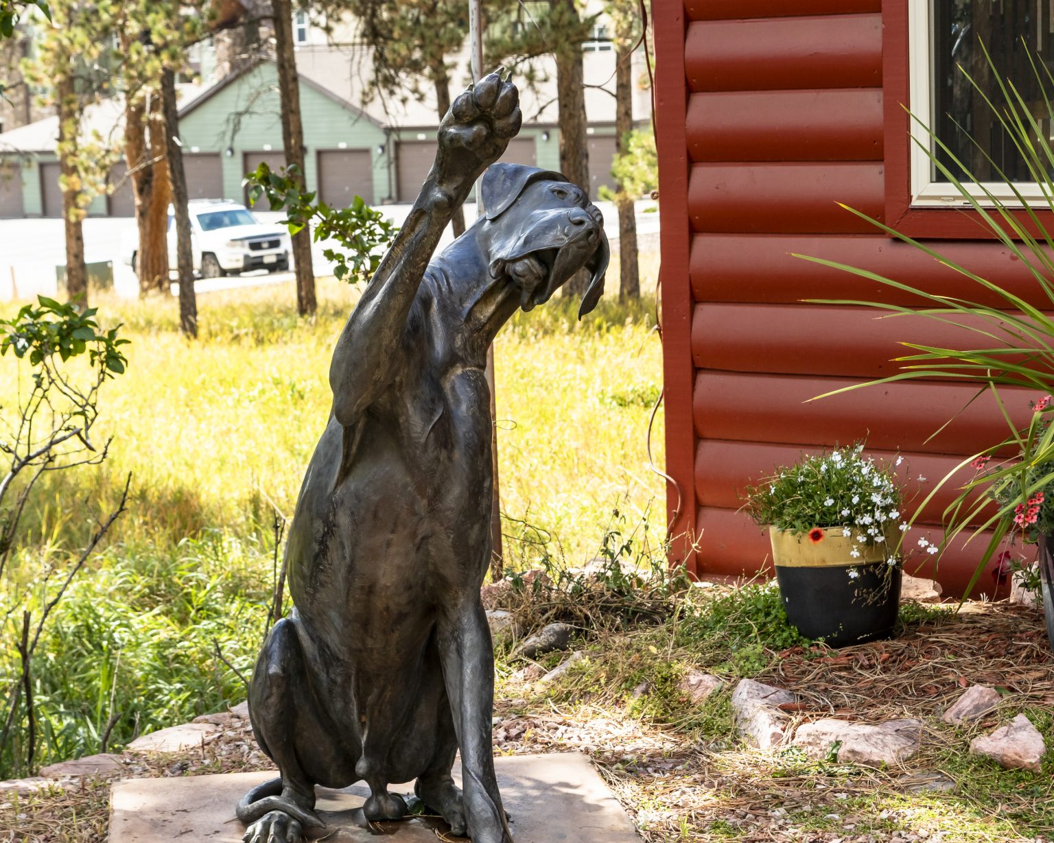 Who We Are The Animal Clinic of Woodland Park